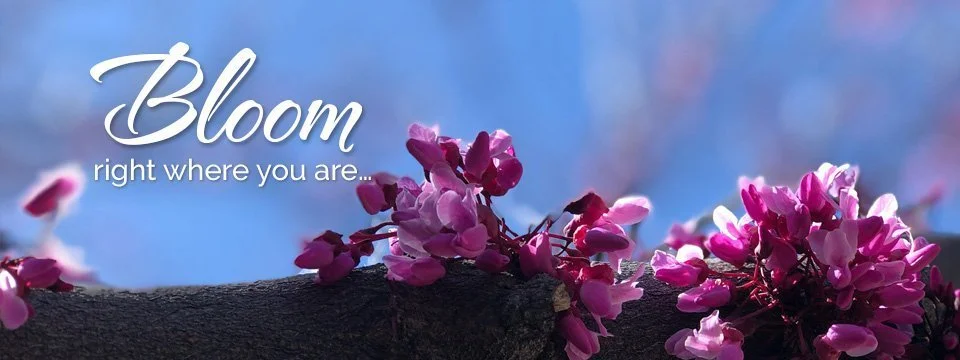 Bloom Where You Are Planted