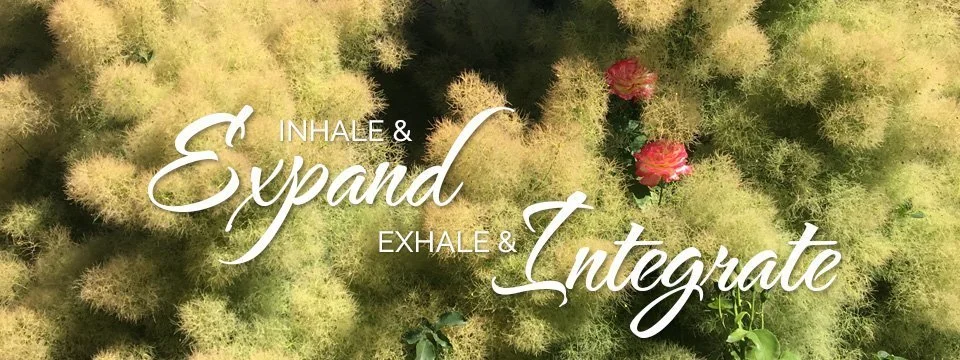 Expand and Integrate