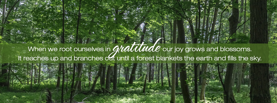 Growing with Gratitude