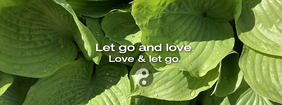 Let Go and Love