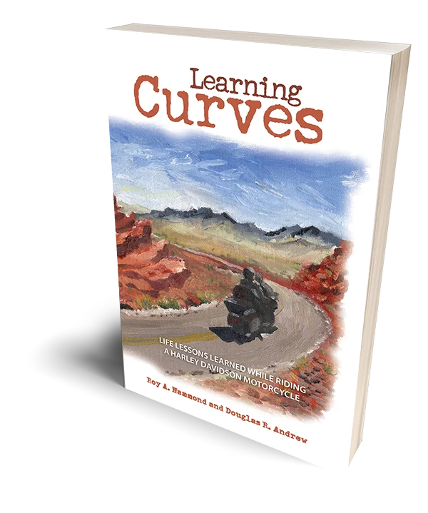 Learning Curves 3D