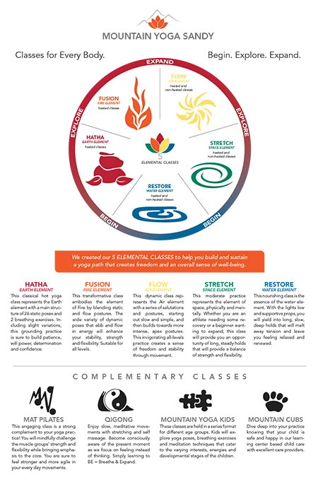 MYS Element Poster