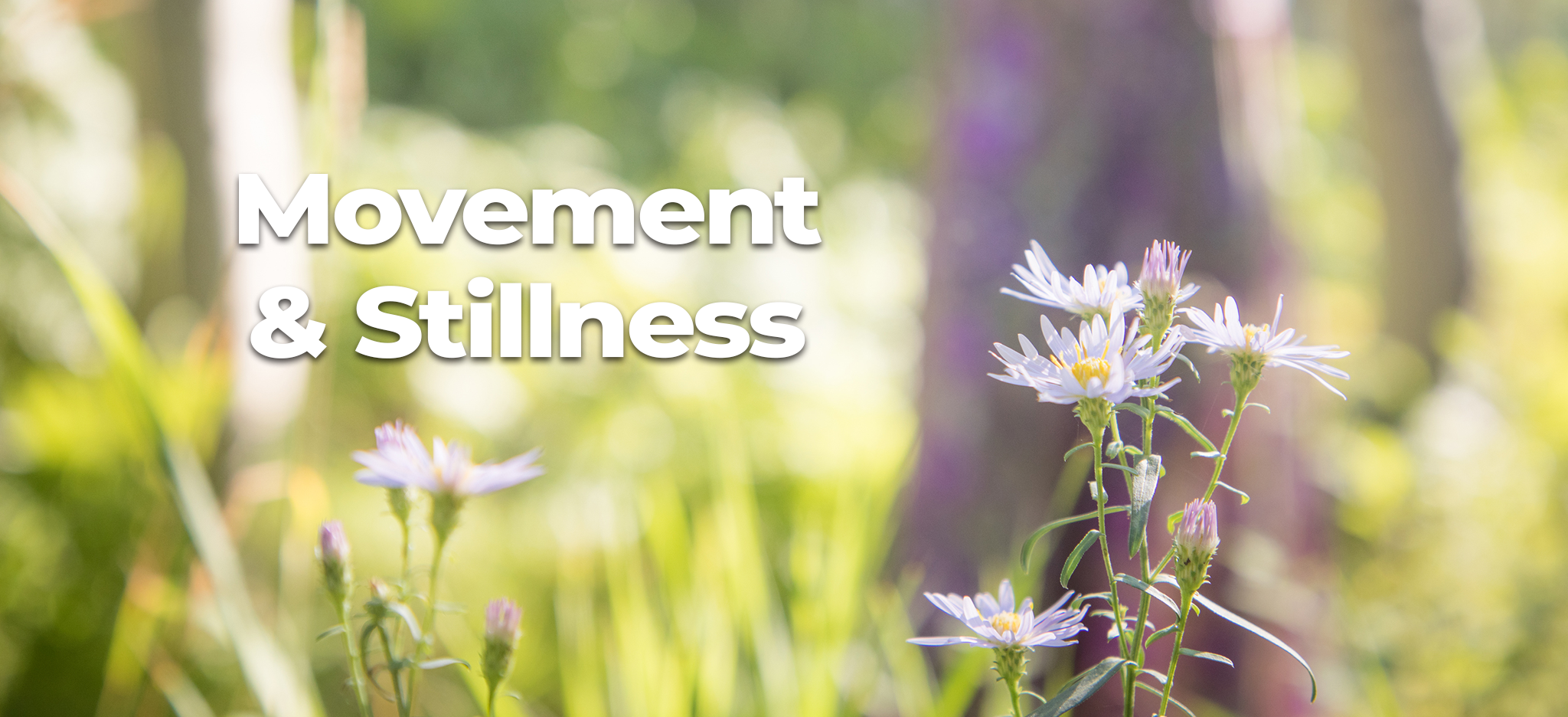 Benefits of Movement and Stillness