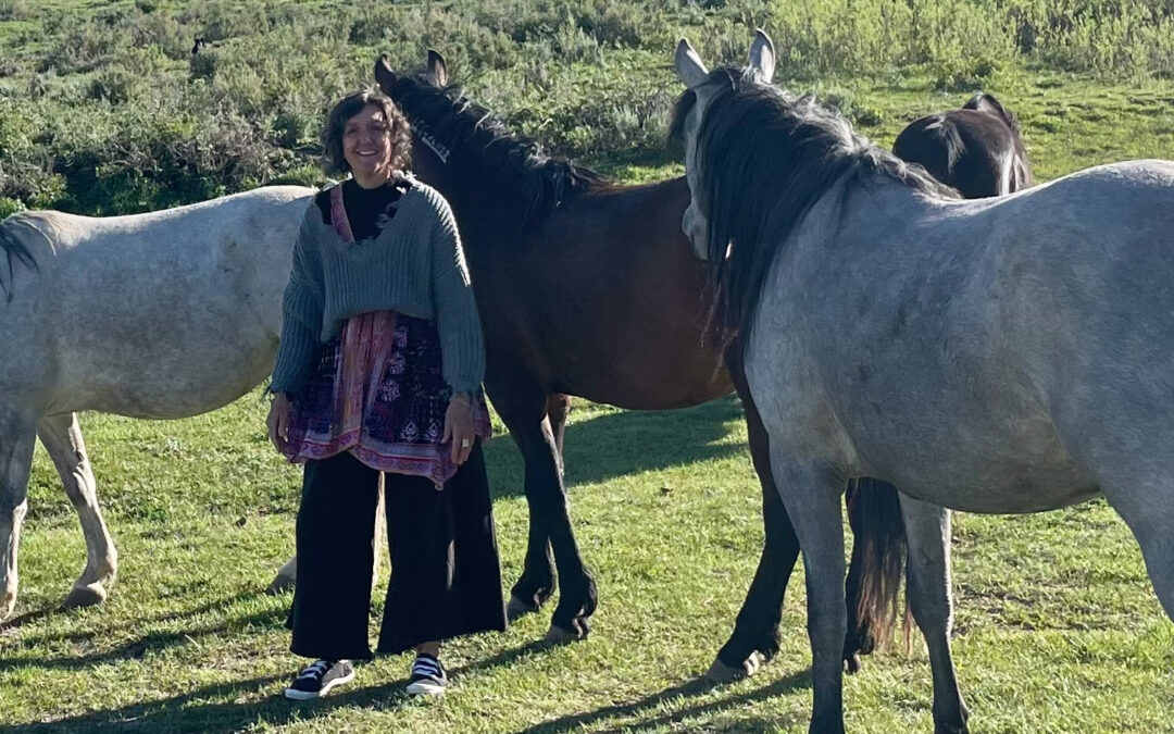 Qigong with Horses