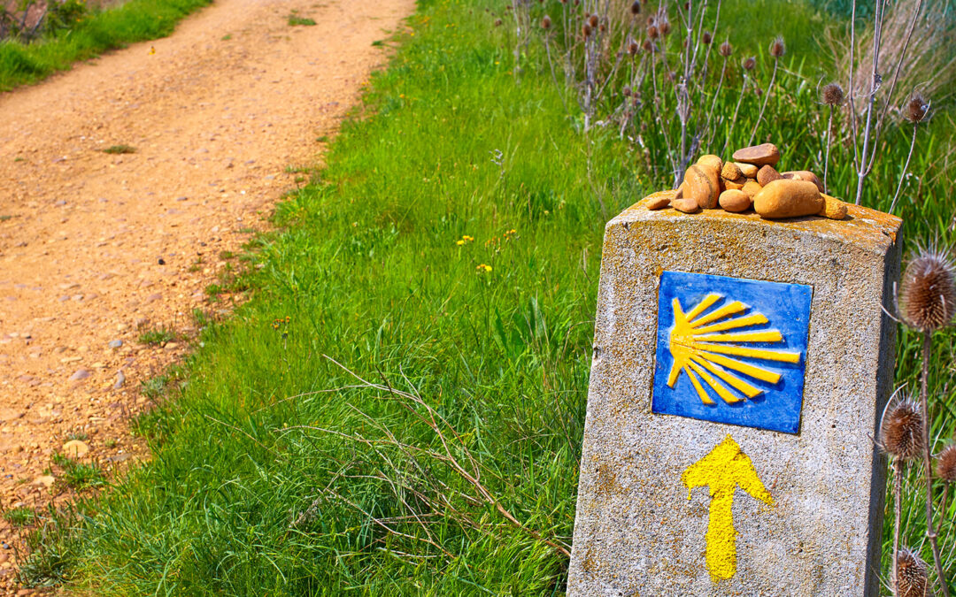 What Is Your Camino?