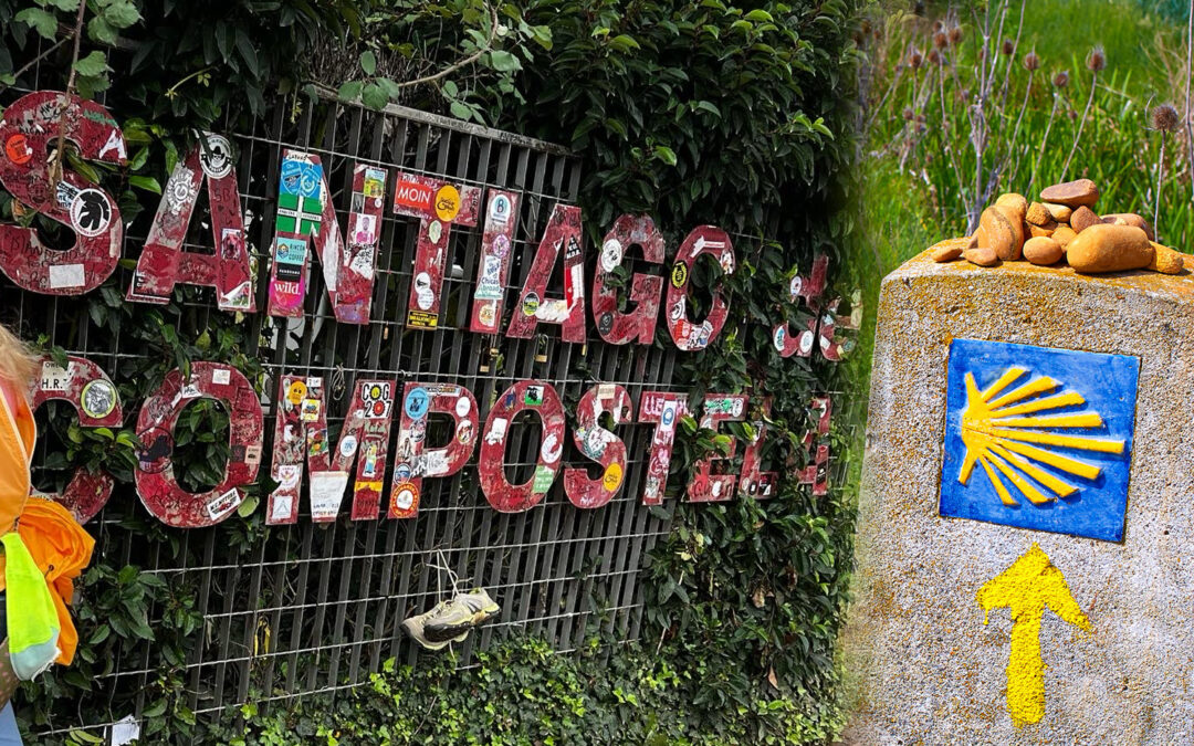 What Is Your Camino?