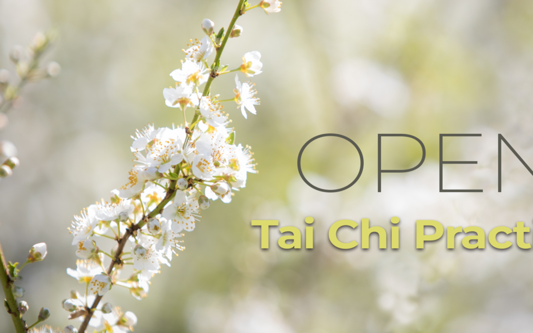 Tai Chi Practice Sessions