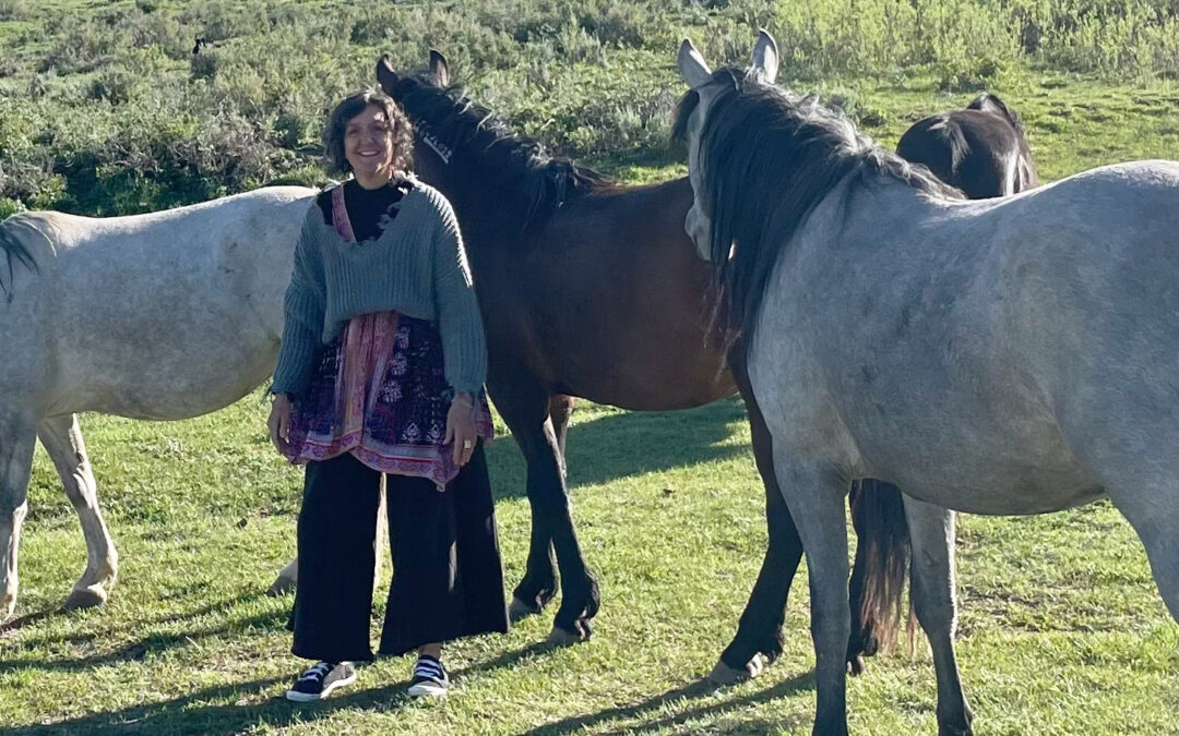 Qigong + Horses = Magic