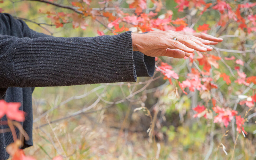 Beginning 6-Week Tai Chi Series