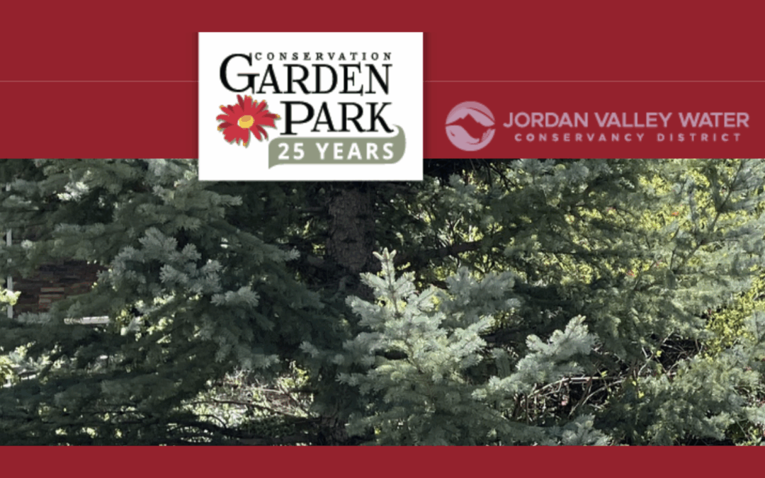 Free Class in the Garden Park