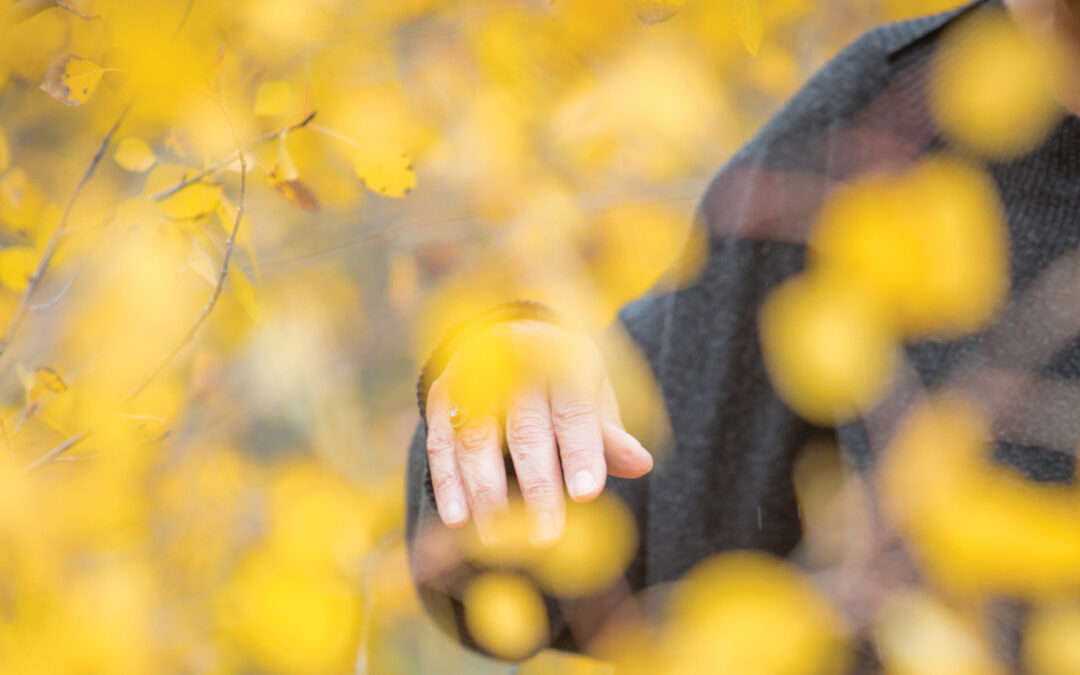7:15pm – Beginning 6-Week Tai Chi Series